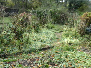photo0082