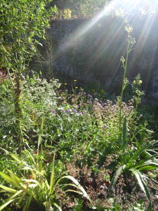 Photo0051
