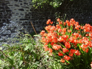 Photo0015