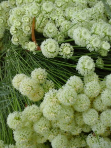 Photo0005